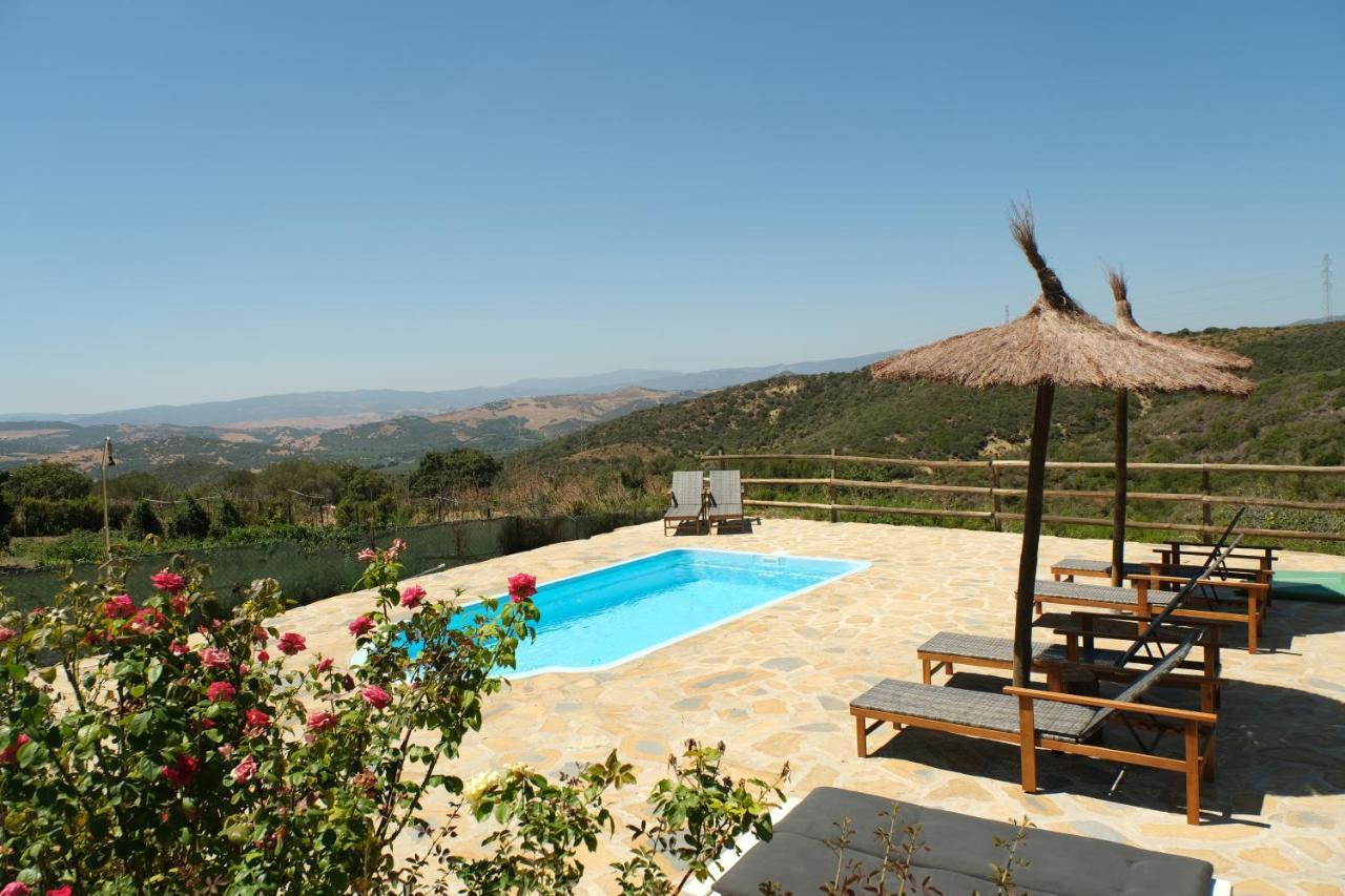 The Wild Olive Andalucia Agave Guestroom Casares Εξωτερικό φωτογραφία